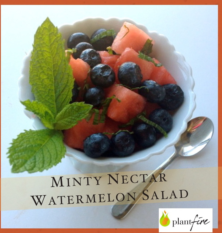 Meatless Monday – Minty Nectar Watermelon Salad